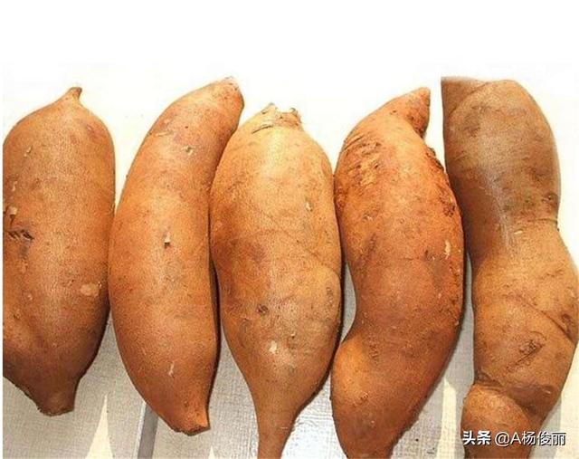 关于广东省青梅果酒过滤机的信息