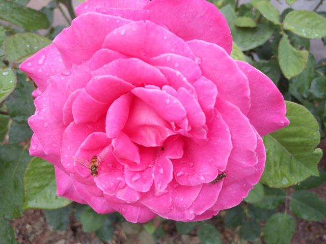 老年人饮食营养合理搭配，有利于延年益寿