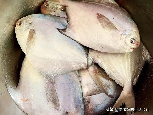 鲳鱼要不要刮鱼鳞