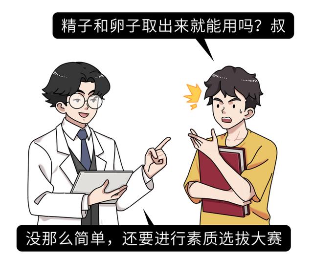 做试管婴儿有多“遭罪”？一篇漫画解释整个过程，看完泪目了