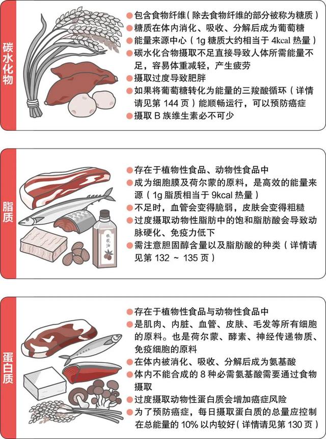 《癌细胞害怕我们这样吃》了解身体的需要才更懂得维护健康