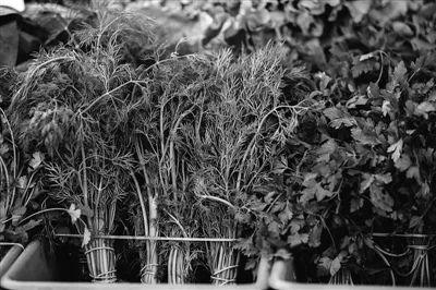 吃这三种菜尽量别丢叶