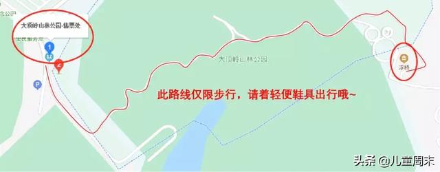 浮桥、探桥、森林、水库……深圳新晋网红绿道免费打卡！一起来耍