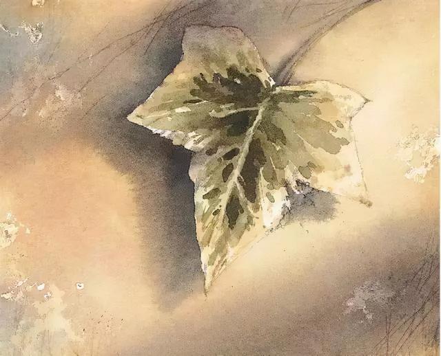 如何跟孩子讨论“死亡”？看看这3本适合秋天读的生命教育绘本