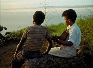 《秀拉》：20分钟读懂，原生家庭对于孩子的成长，到底有多重要？