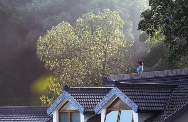 江浙沪适合团建的地方