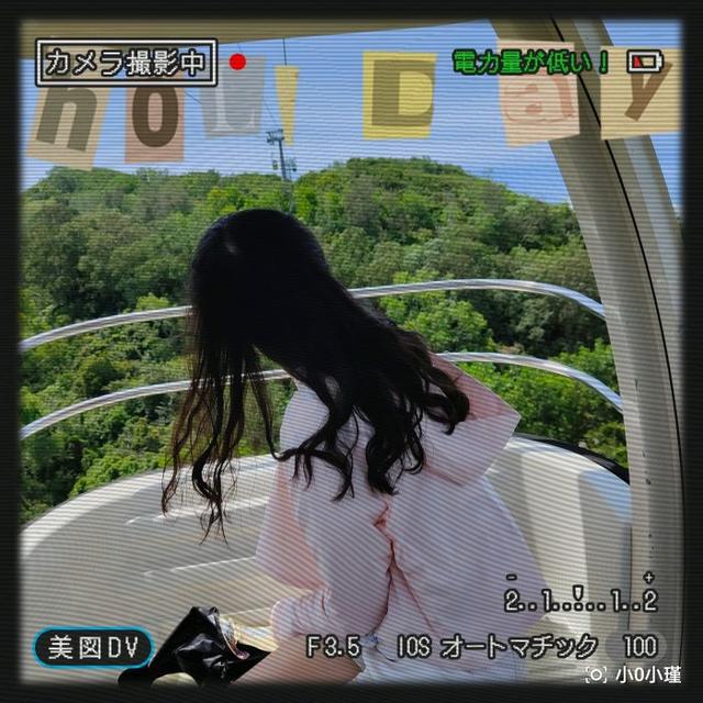 南湾猴岛好玩吗（南湾猴岛值得去吗）