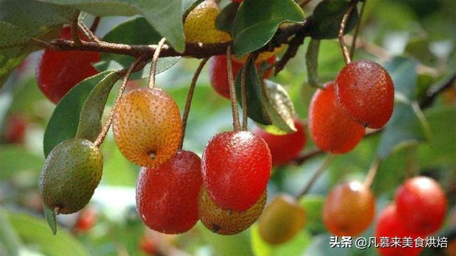 水果名称大全