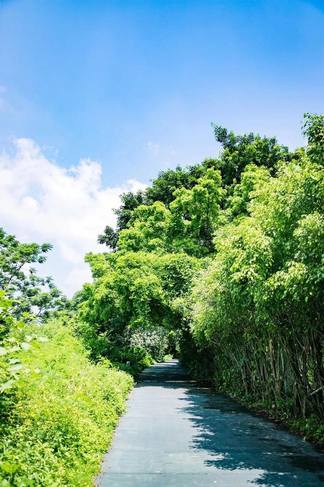 深圳旅游景区