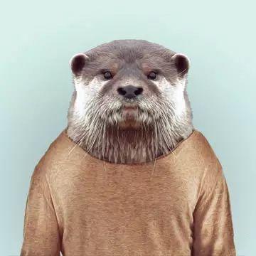 大熊猫拍证件照动物的证件照看了好想笑