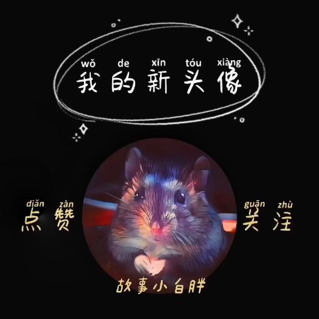 仓鼠怀孕多少天