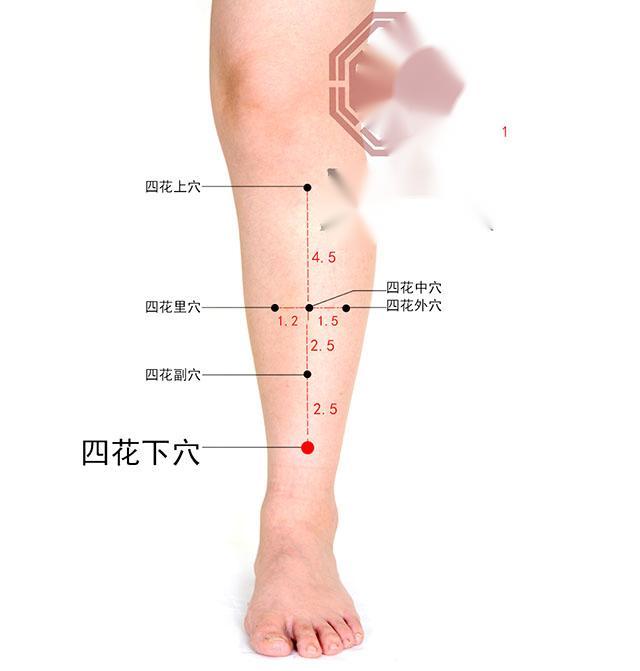 中医针灸感冒、上呼吸道感染疾病处方2