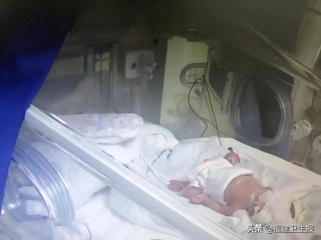 他一出生就在NICU住了220多天…世界早产儿日，这篇早产儿妈妈的文章，看得鼻酸