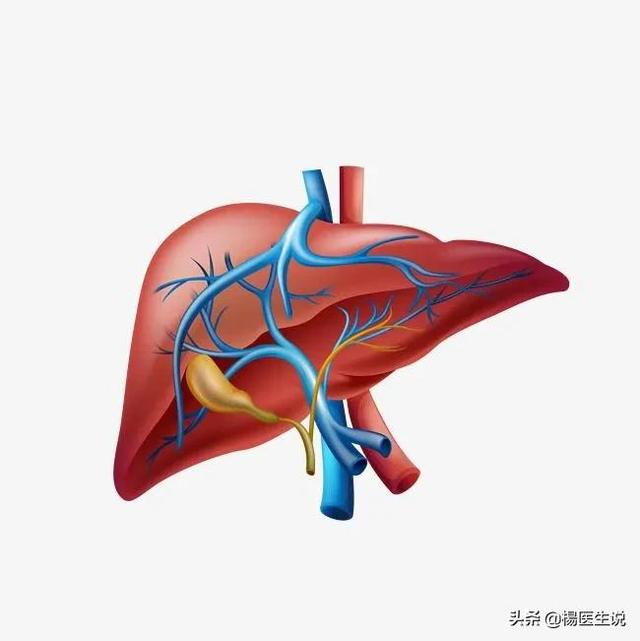 大生化检查项目多少钱