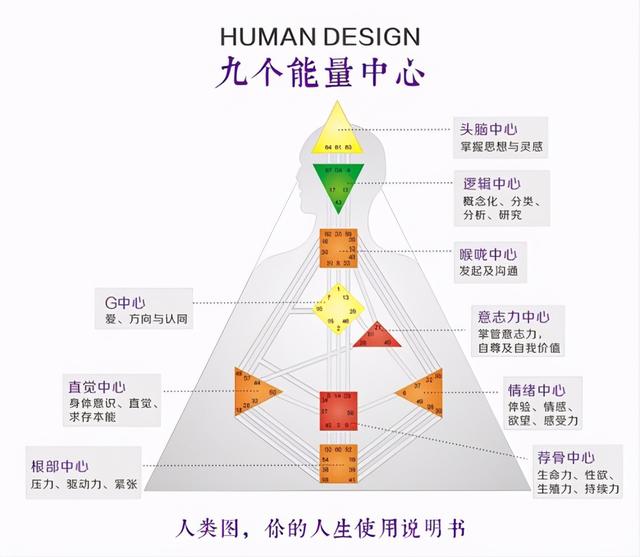 人类图基础分享 上 全网搜