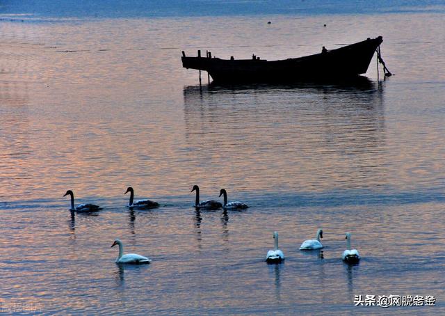 从鱼竿厂到碳纤维龙头的跃变，承兑了光威30年奋斗
