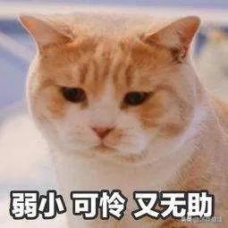 长鸡皮肤的人缺什么