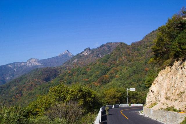 寻访秦岭苦竹沟，灌满浆汁的烂红野果和山货挂满枝头，都无人采摘2