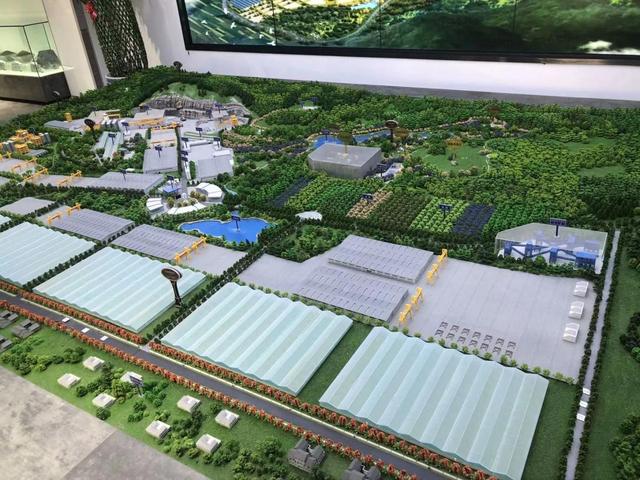 连砂石图片