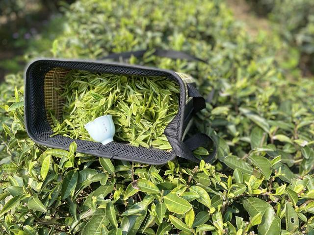 立夏洗砂机