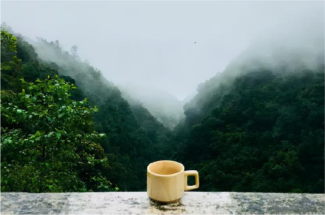 白露到！气候燥！要养身！应趁早