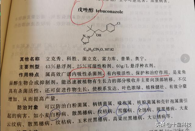 小麦春天喷杀菌药：不用吡唑醚菌酯，要用戊唑醇！因为3点8