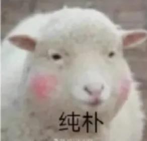 熊孩子，姐姐教你一句，所谓“作死”，就是不作不会死