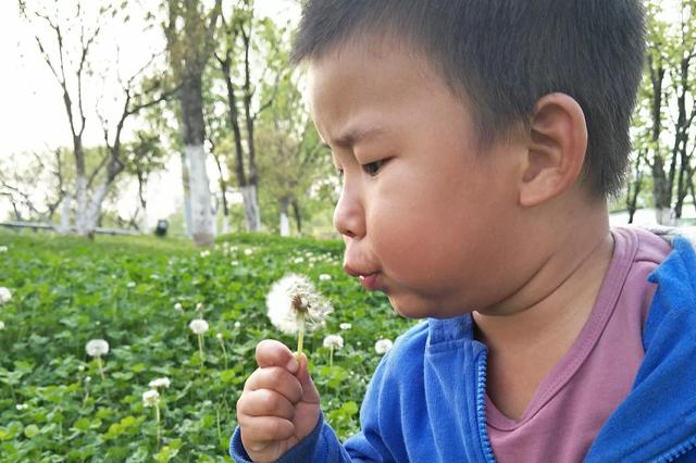 为啥娃上小学后，我的脾气与日俱增？