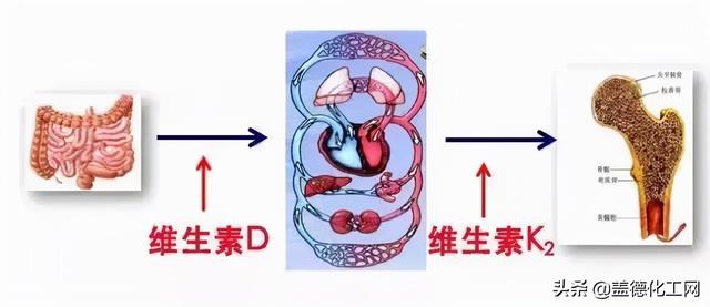 补钙没那么简单，科学补钙才有效