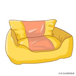 小猫很脏怎么办