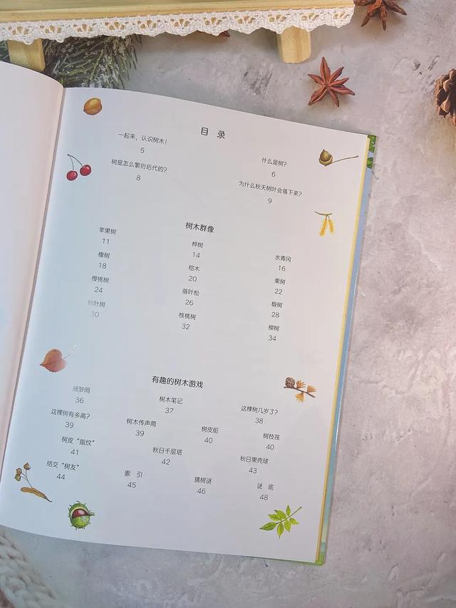 桦树叶治疗脚臭？椴树花茶能治感冒？这本自然科普绘本简直太棒了