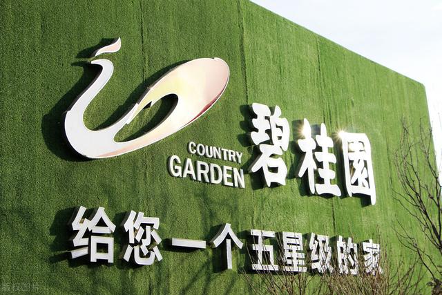 碧桂园服务200亿以债“圈”物