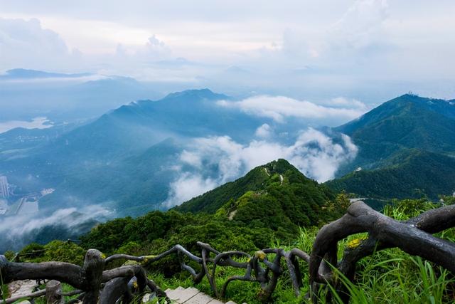 深圳4大“美景”徒步线路，有山有水还有海滩，你都去过吗？