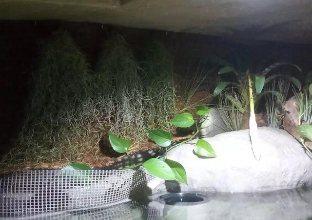 马鞍山鼓式过滤机定制公司