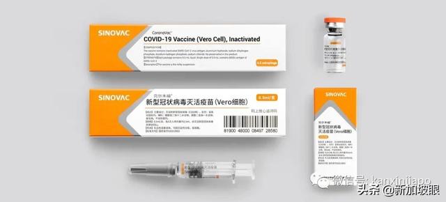 新加坡飛南京航班緊急取消！政府不承認海外紙版疫苗證書
