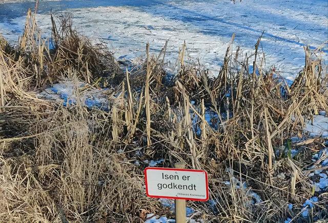 当“中国式”妈妈撞上丹麦的“放羊式”教育，才知道鸡娃的边界，究竟在哪里