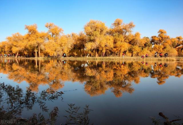 在基础教育领域里，是否真的能够遵从儿童的天性