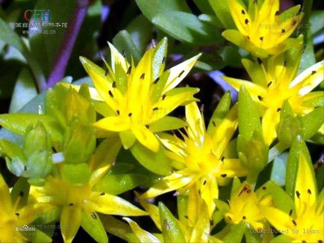 甘肃省水利水电工程局祁全展