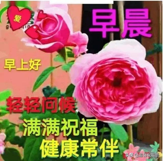 清早精辟简短的早安问候语大全，最美的早上好祝福表情图片