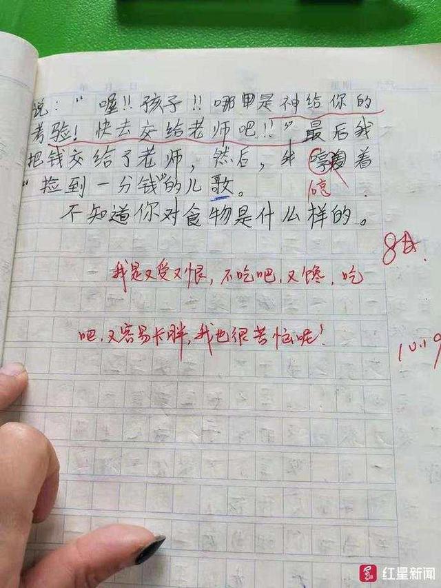 哀叹每天才5毛零花钱 小学生作文《可怜啊》走红2