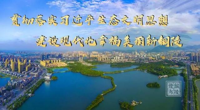 安徽自动陶瓷过滤机