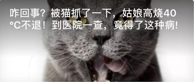 拉屎出来鸡皮疙瘩