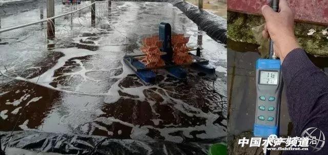 北海市叶轮式洗砂机
