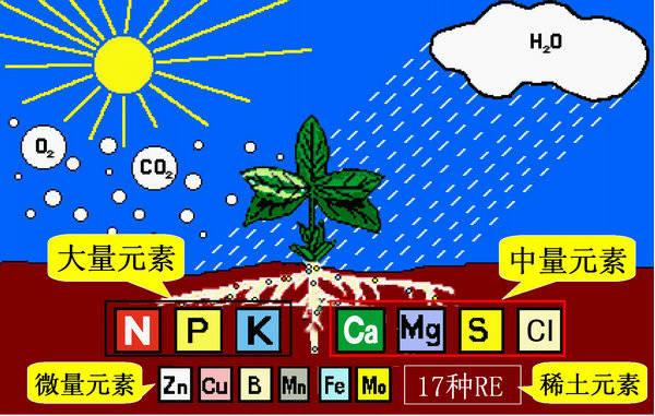 最全最基本的肥料知识（精编版）4