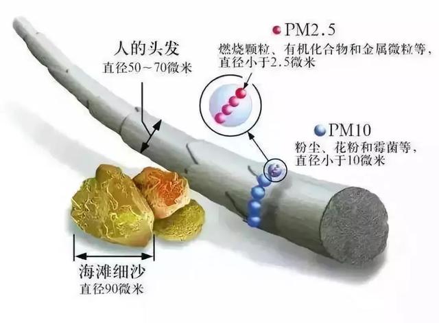 pm10是什么