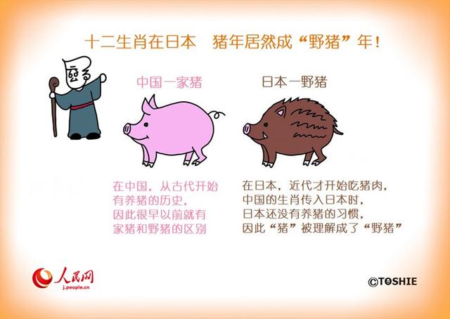 12生肖玄猪是什么意思