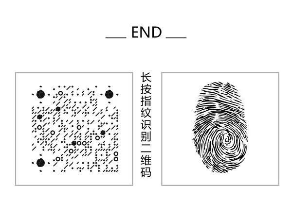 飞盘狗训练