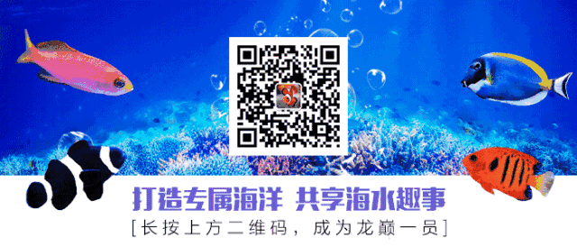 养海鱼过滤机