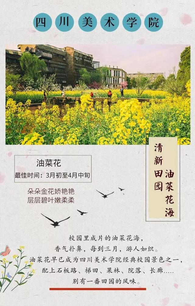 蔷薇花语 蔷薇花语（蔷薇花语录） 生活