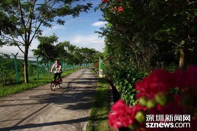 骑行5分钟可达绿道是什么体验？深圳人告诉你